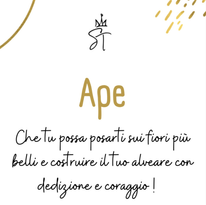 718C8365-23E4-458B-B362-96D6D9532E52 Collezione "Divenire" - Apina - immagine 2